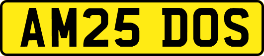 AM25DOS