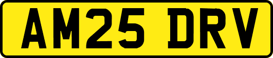 AM25DRV