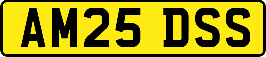 AM25DSS