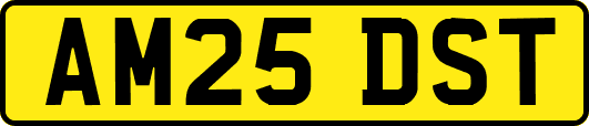 AM25DST