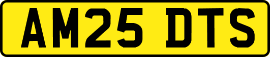 AM25DTS