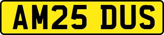 AM25DUS