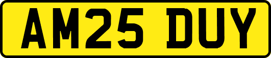 AM25DUY