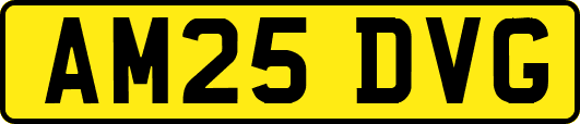 AM25DVG