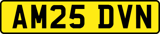 AM25DVN