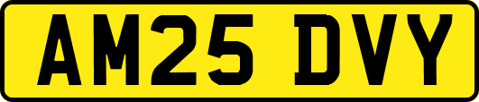 AM25DVY