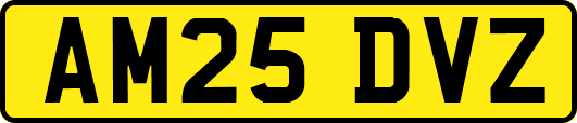 AM25DVZ