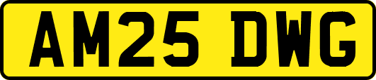 AM25DWG