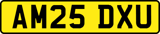 AM25DXU