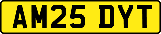 AM25DYT