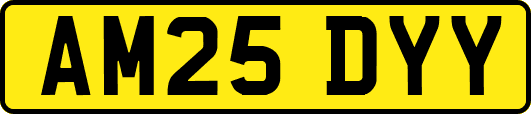 AM25DYY