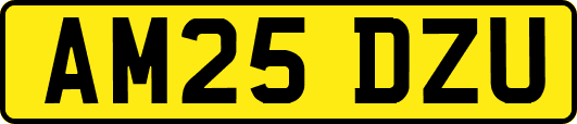 AM25DZU