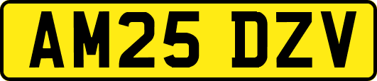 AM25DZV