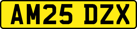 AM25DZX