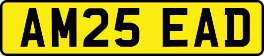 AM25EAD