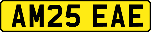 AM25EAE