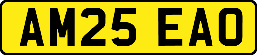 AM25EAO