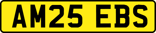 AM25EBS