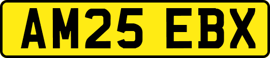 AM25EBX