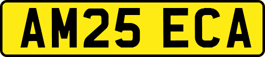 AM25ECA