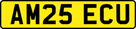 AM25ECU