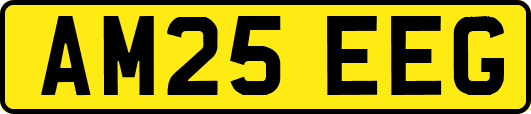 AM25EEG
