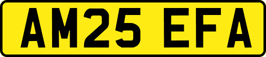 AM25EFA