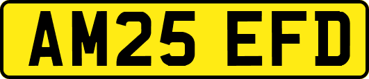AM25EFD