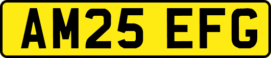 AM25EFG