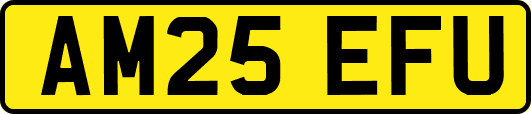 AM25EFU