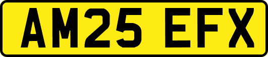 AM25EFX