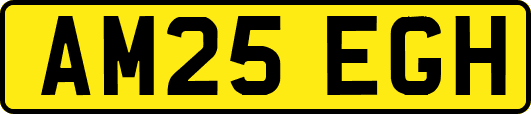 AM25EGH
