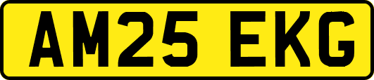AM25EKG