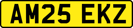 AM25EKZ
