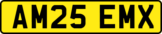 AM25EMX