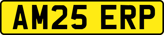 AM25ERP