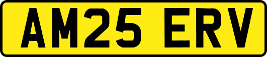 AM25ERV