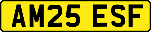 AM25ESF