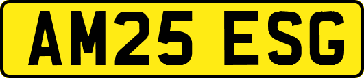 AM25ESG