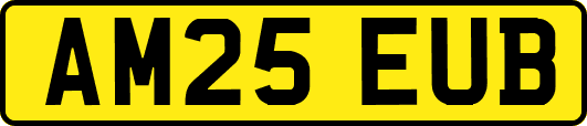 AM25EUB