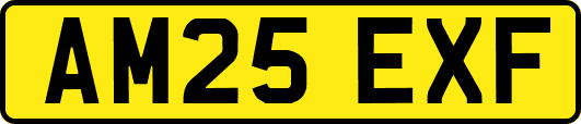 AM25EXF