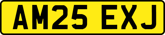 AM25EXJ