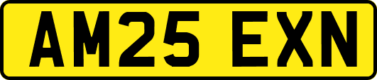 AM25EXN
