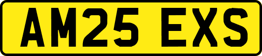 AM25EXS