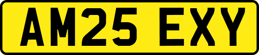 AM25EXY