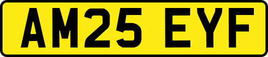 AM25EYF