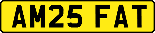 AM25FAT