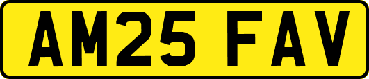 AM25FAV