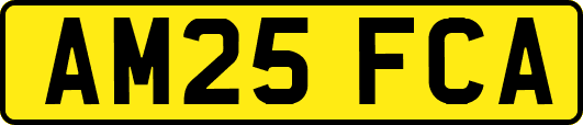 AM25FCA