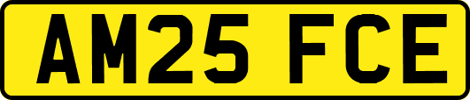 AM25FCE